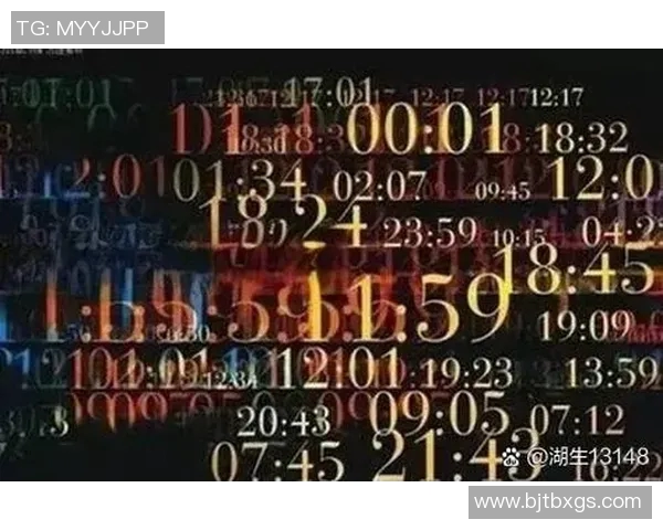 探索zmjjkk的奥秘与魅力，揭示其背后的故事与影响力